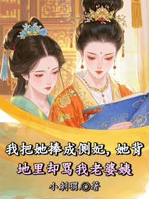 小说：王妃赵珩《我把她捧成侧妃，她背地里却骂我老婆姨》