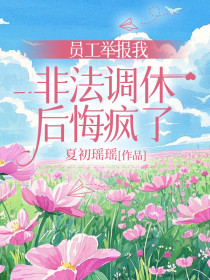 小说：宋总苏瑾《员工举报我非法调休后悔疯了》