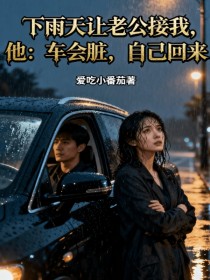 小说：沈墨川《下雨天让老公接我，他：车会脏，自己回来》