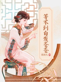 小说：苏映雪傅承砚《等不到白发苍苍》