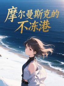 小说：沈峤傅祈年《摩尔曼斯克的不冻港》