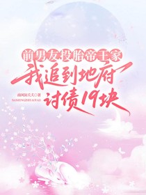 小说：沈岑雾裴衍之《前男友投胎帝王家，我追到地府讨债19块》