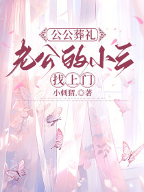 小说：徐薇沈明涛《公公葬礼，老公的小三找上门》