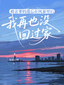 小说：林念暖《被亲爹妈遗忘在风暴里后，我再也没回过家》