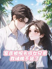 小说：夏晚晴俞景川《宴会被按头成女兄弟，我摊牌不装了》
