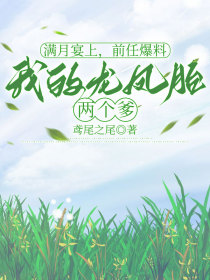 小说：安夏陆沉《满月宴上，前任爆料我的龙凤胎两个爹》