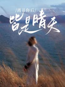 小说：裴矣月陆司衡《离开你后皆是晴天》