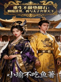 小说：周婉宁《重生不做垫脚石：脚踹渣男，我与太子共掌天下》