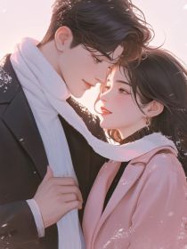 小说：念茴许文泓《女家长想用纸星星租我老公》