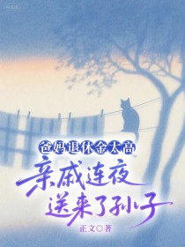 小说：苏晓棠《爸妈退休金太高，亲戚连夜送来了孙子》