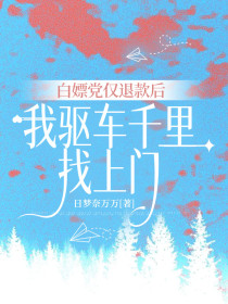 小说：林小茶小宋《白嫖党仅退款后，我驱车千里找上门》