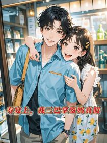小说：王念念《寿宴上，我三巴掌鉴妈真假》