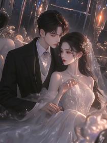 小说：程晚意周凛川《一句此生不换》