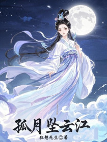 小说：林芸祁函,陈渊《孤月坠云江》