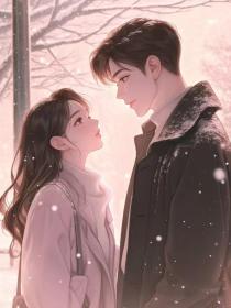 小说：乔瑾齐哥《隐婚五年后，老婆变心了》