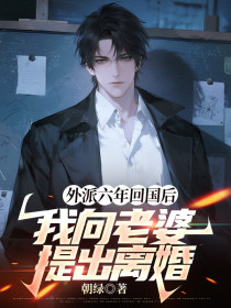 小说:妻子《外派六年回国后,我向老婆提出离婚》 小说:妻子《外派六年回国后,我向老婆提出离婚》