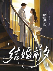 小说：宋温温裴衡之《结婚前夕》