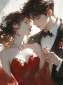 小说：林繁陈云知《老婆痴恋白月光，我放手了》