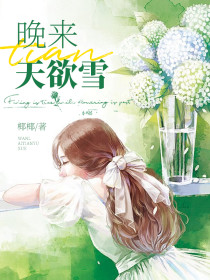 小说：江兴宁江家养子《晚来天欲雪》