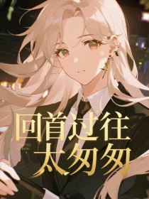 小说：洛云烟陆聿明《回首过往太匆匆》