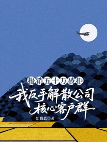 小说：钟睿茗《报销五十万被拒，我反手解散公司核心客户群》