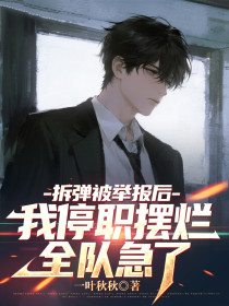 小说：林月江辰《拆弹被举报后我停职摆烂，全队急了》