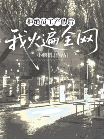 小说：薇薇陆辰《拒绝员工产假后，我火遍全网》