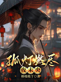 小说：宋淮之楚霄河叶轻雾《孤灯燃尽夜未央》