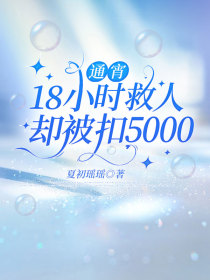 小说：赵恪言《通宵18小时救人却被扣5000》