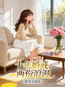小说：沈念顾淮《十年婚戒，两份浪漫》