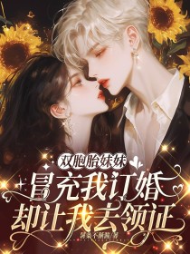 陈希王总《双胞胎妹妹冒充我订婚,却让我去领证》