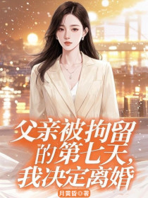 季彦明苏晓晓《父亲被拘留的第七天,我决定离婚》