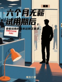 小说：陈呈《六个月无薪试用期后，老板说我未达转正要求》