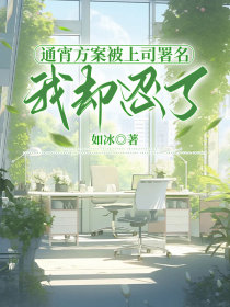 小说：《通宵方案被上司署名，我却忍了》