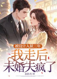 苏瑶宋辞周婉《被设计入狱三年,我走后未婚夫疯了》