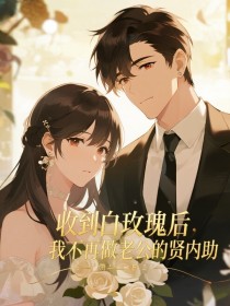 小说：苏末贺岩庭《收到白玫瑰后，我不再做老公的贤内助》