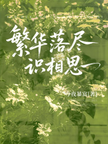 小说：夏恩乔周宴南《繁华落尽识相思》