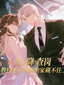 小说：姜明《空降查岗，教授老公外面的家藏不住了》