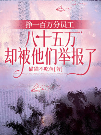 小说：《挣一百万分员工八十五万，却被他们举报了》
