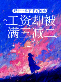 小说：林茜茜《双十一拿下千万流水，工资却被满三减二》