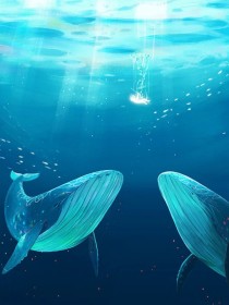 徐潇石锋安馨《蜜月期老公为白月光执意去禁区潜水》