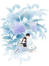 陆青舟文瑶燕洵《重生后我揭皇榜成全青梅,她哭着求我别走》