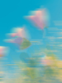 苏子玉林思邈萧清婉《汝为蜜糖，亦为砒霜》