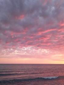 林夕晨祁南夏安安《那年夏天有我逝去青春，还有他》