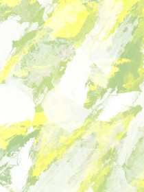 苏慕染顾十安晴儿《夫君想抢我功名》