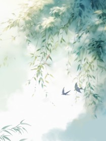 小说：宋知微梁昭《知微》