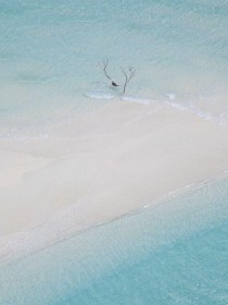 小说：程瑾禾方理《未有相逢寄来时》